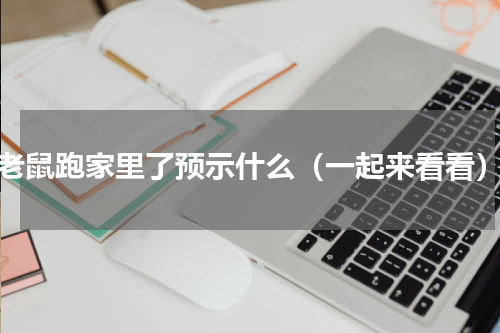 老鼠跑家里了预示什么（一起来看看）