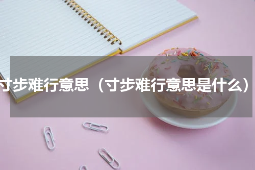 寸步难行意思（寸步难行意思是什么）