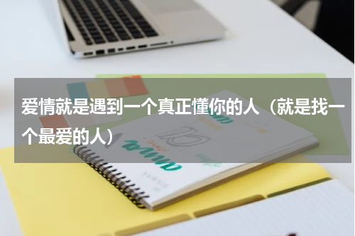 爱情就是遇到一个真正懂你的人（就是找一个最爱的人）