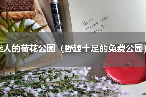 迷人的荷花公园（野趣十足的免费公园）