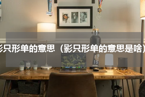 影只形单的意思（影只形单的意思是啥）