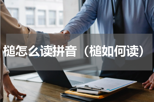 槌怎么读拼音（槌如何读）