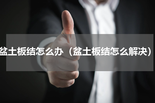 盆土板结怎么办（盆土板结怎么解决）