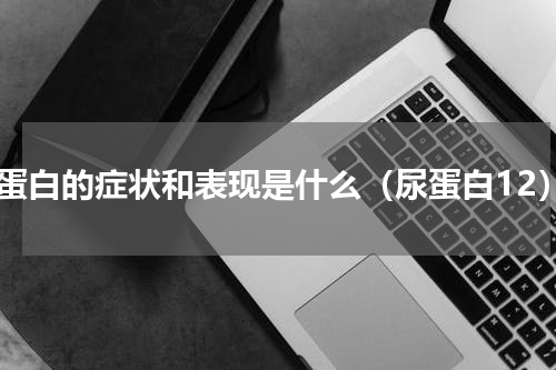 尿蛋白的症状和表现是什么（尿蛋白12）