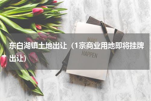 东白湖镇土地出让（1宗商业用地即将挂牌出让）