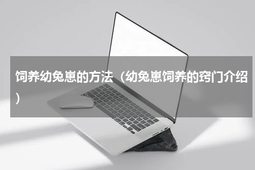饲养幼兔崽的方法（幼兔崽饲养的窍门介绍）
