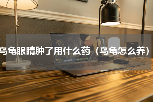 乌龟眼睛肿了用什么药（乌龟怎么养）