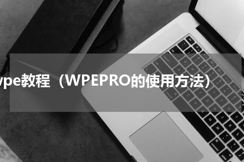 wpe教程（WPEPRO的使用方法）