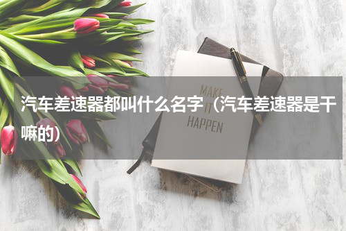 汽车差速器都叫什么名字（汽车差速器是干嘛的）