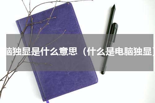 电脑独显是什么意思（什么是电脑独显）
