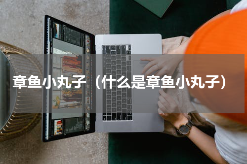 章鱼小丸子（什么是章鱼小丸子）