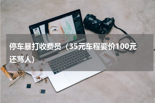 停车暴打收费员（35元车程要价100元还骂人）