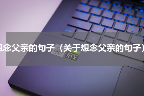 想念父亲的句子（关于想念父亲的句子）