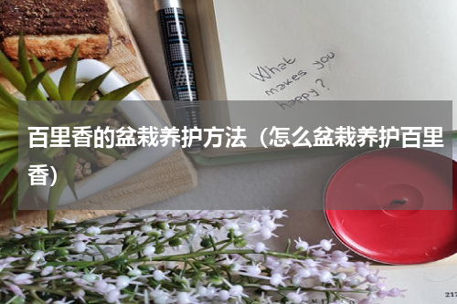 百里香的盆栽养护方法（怎么盆栽养护百里香）