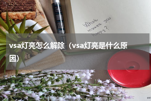 vsa灯亮怎么解除（vsa灯亮是什么原因）