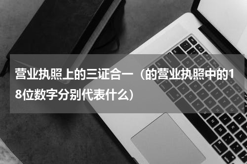 营业执照上的三证合一（的营业执照中的18位数字分别代表什么）