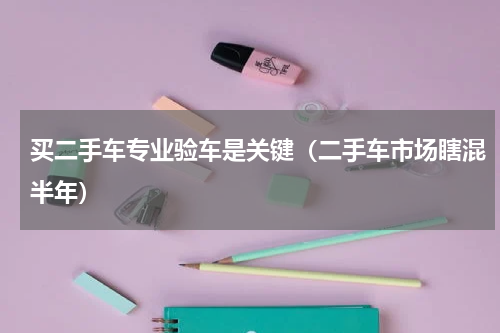 买二手车专业验车是关键（二手车市场瞎混半年）
