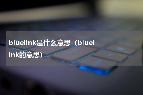 bluelink是什么意思（bluelink的意思）