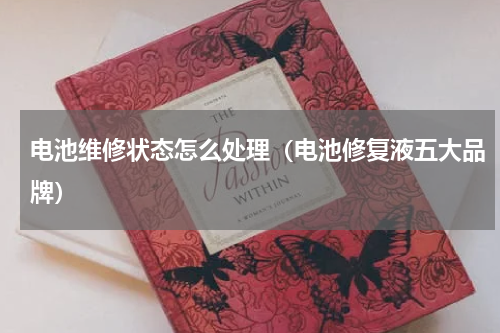 电池维修状态怎么处理（电池修复液五大品牌）