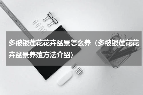 多被银莲花花卉盆景怎么养（多被银莲花花卉盆景养殖方法介绍）