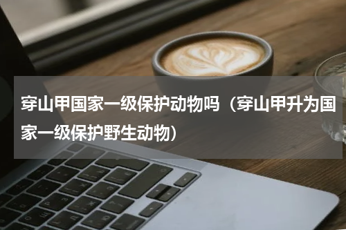 穿山甲国家一级保护动物吗（穿山甲升为国家一级保护野生动物）