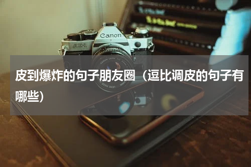 皮到爆炸的句子朋友圈（逗比调皮的句子有哪些）