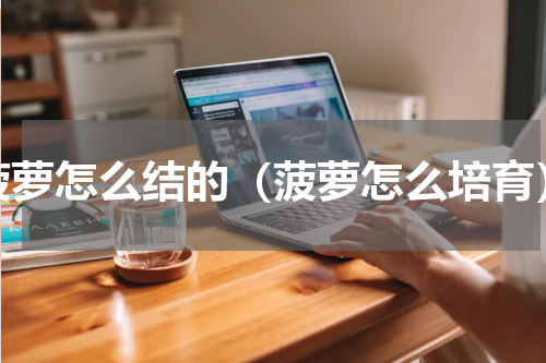 菠萝怎么结的（菠萝怎么培育）