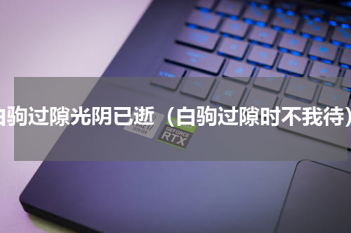 白驹过隙光阴已逝（白驹过隙时不我待）