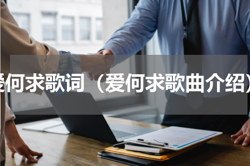 爱何求歌词（爱何求歌曲介绍）