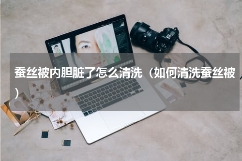 蚕丝被内胆脏了怎么清洗（如何清洗蚕丝被）