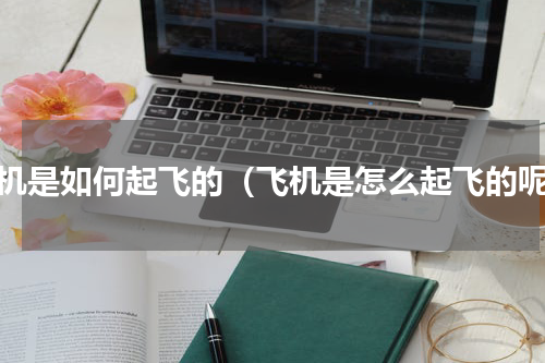 飞机是如何起飞的（飞机是怎么起飞的呢）