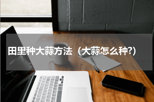 田里种大蒜方法（大蒜怎么种?）