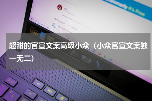 超甜的官宣文案高级小众（小众官宣文案独一无二）