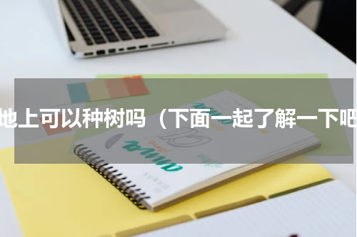 耕地上可以种树吗（下面一起了解一下吧）