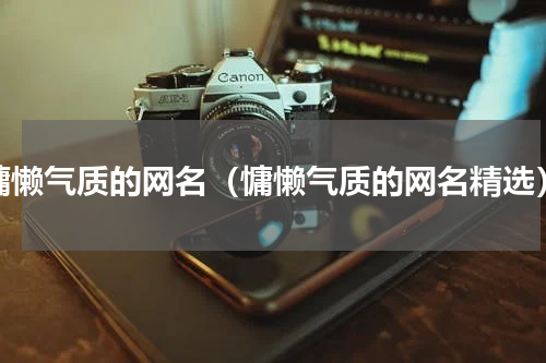 慵懒气质的网名（慵懒气质的网名精选）