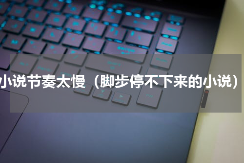 小说节奏太慢（脚步停不下来的小说）