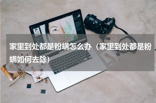 家里到处都是粉螨怎么办（家里到处都是粉螨如何去除）