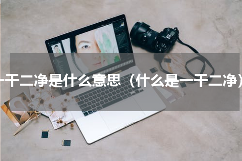 一干二净是什么意思（什么是一干二净）