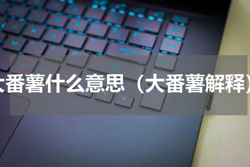 大番薯什么意思（大番薯解释）