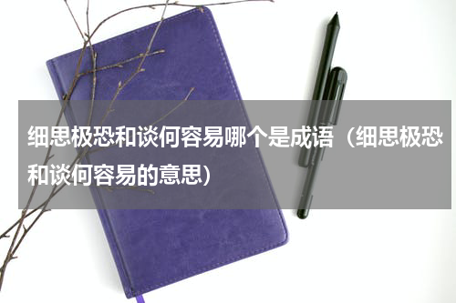 细思极恐和谈何容易哪个是成语（细思极恐和谈何容易的意思）