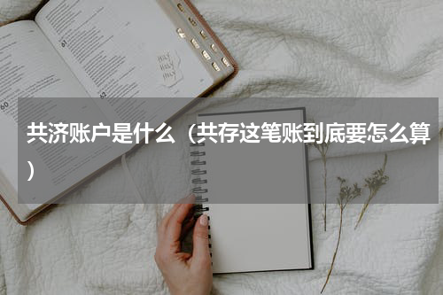 共济账户是什么（共存这笔账到底要怎么算）