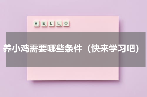 养小鸡需要哪些条件（快来学习吧）