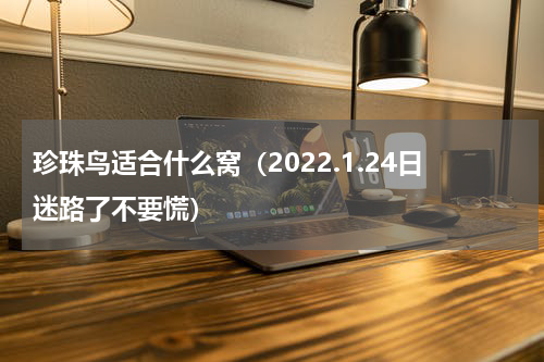 珍珠鸟适合什么窝（2022.1.24日迷路了不要慌）