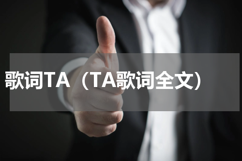 歌词TA（TA歌词全文）