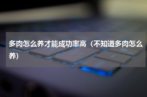 多肉怎么养才能成功率高（不知道多肉怎么养）
