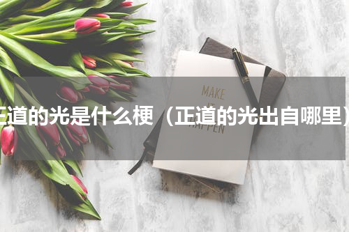 正道的光是什么梗（正道的光出自哪里）