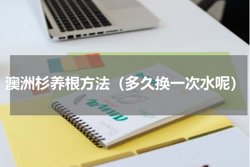 澳洲杉养根方法（多久换一次水呢）