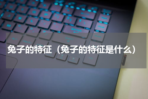 兔子的特征（兔子的特征是什么）