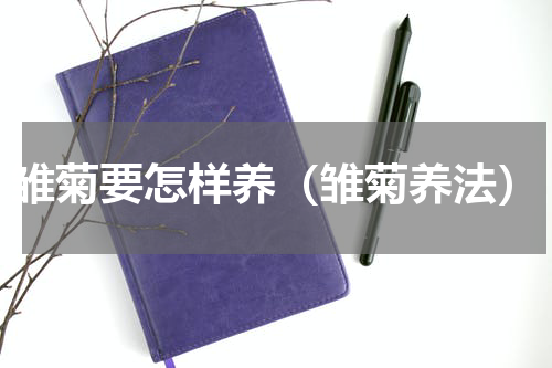 雏菊要怎样养（雏菊养法）