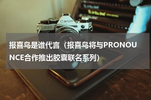 报喜鸟是谁代言（报喜鸟将与PRONOUNCE合作推出胶囊联名系列）